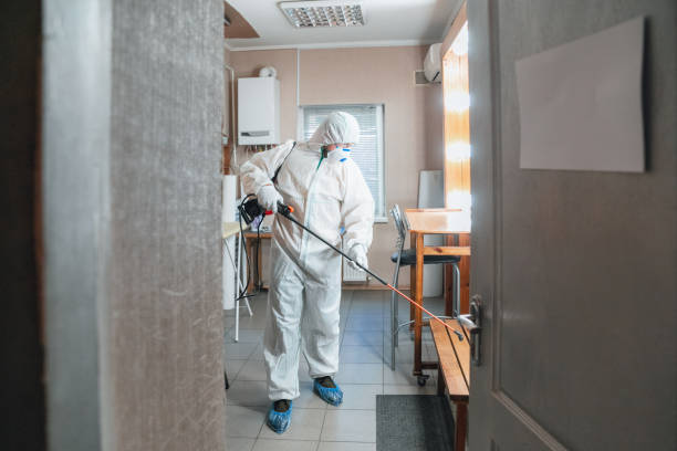 Best Mold Remediation for Healthcare Facilities  in Winters, TX