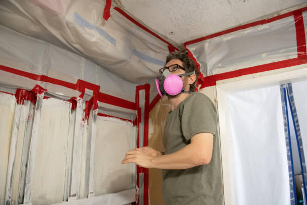 Mold Documentation for Insurance Claims in Winters, TX