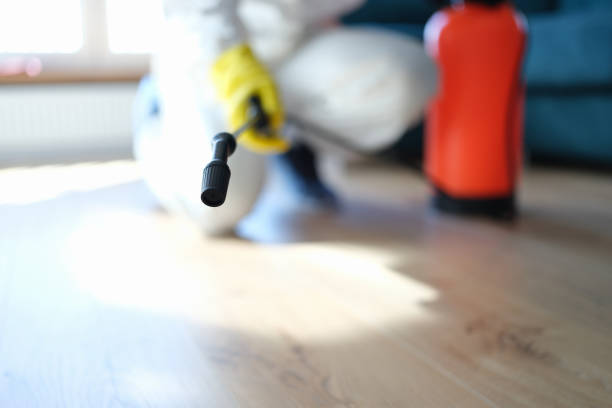 Best Crawl Space Mold Remediation  in Winters, TX