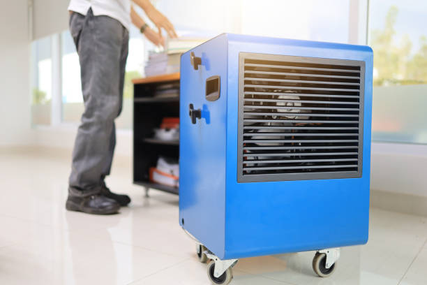 Best Post-Remediation Verification Testing  in Winters, TX