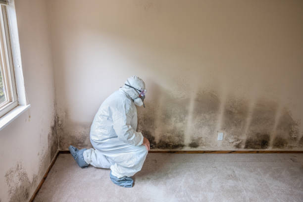 Mold Remediation for Vacation Homes in Winters, TX